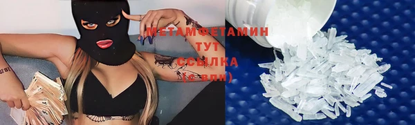 трава Белокуриха