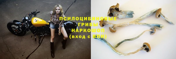 бошки Богородицк