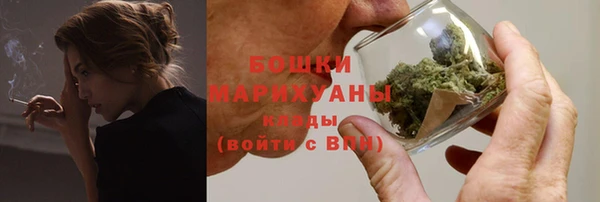 трава Белокуриха