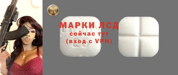 твердый Богданович