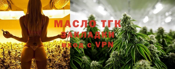 твердый Богданович